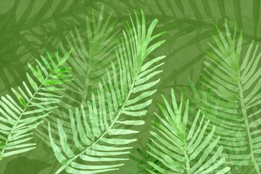 Foglie di palma tropicali rigogliose