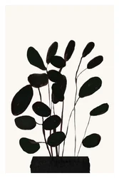 Pianta da appartamento in stile minimalista
