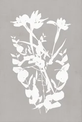 Silhouette botaniche moderne