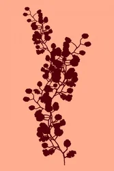 Silhouette botanica alla pesca
