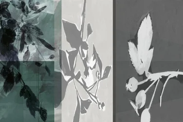 Forme botaniche serene