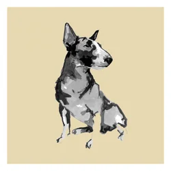Bull Terrier