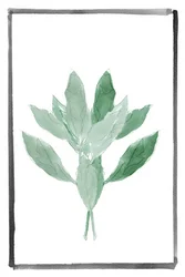 Verde tenue botanico