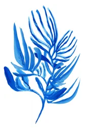 Fogliame blu tropicale