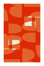 Curve vivaci in stile Mid-Century