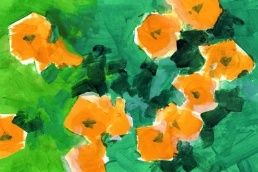 Fiori d