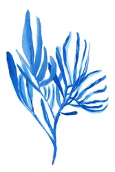 Forme vegetali in blu acquoso