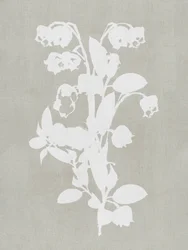 Fiori bianchi in stile botanico