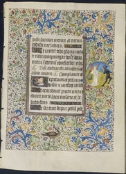 Foglio da un Libro d