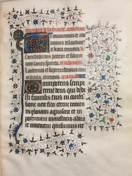 Libro d