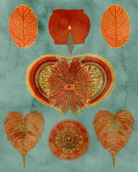 Composizione botanica elaborata
