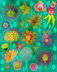 Un giardino botanico dai colori vivaci
