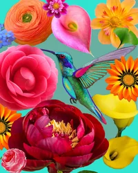 Fiori dai colori vivaci e colibrì