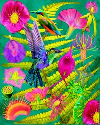 Un vivace giardino tropicale