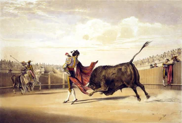 Toro che carica mentre il matador gioca con il mantello