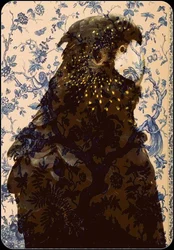 Pappagallo nero 2, 2017
