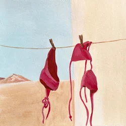 Bikini del deserto