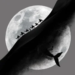 Il viaggio nel deserto della balena lunare
