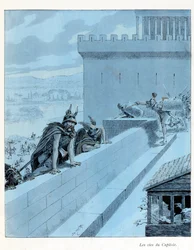 Illustrazione dal libro 
