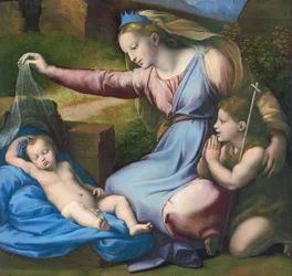 Madonna del diadema blu